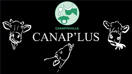 CANAPLUS