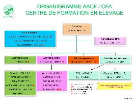 Organigramme Canappeville